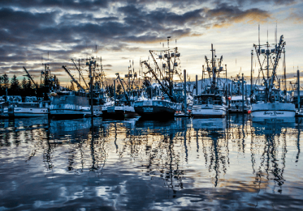 south harbor