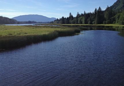 blind slough