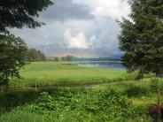 'A misty morning overlooking Crystal Creek', near the Crystal Lake hatchery weir at Blind Slough. Rainbow at Blind Slough