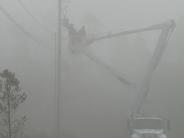 Foggy morning in August 2024