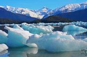 Icebergs, LeConte Bay, Petersburg, Alaska