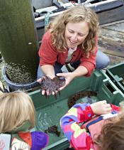 Touch tank, Rainforest Festival, Petersburg, AK