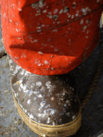 Boot with fish scales